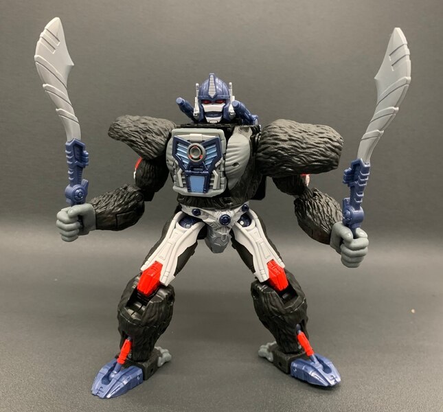 Takara Transformers Kingdom Official In Hand Images Optimus Primal, Cheetor, Rattrap  (3 of 8)
